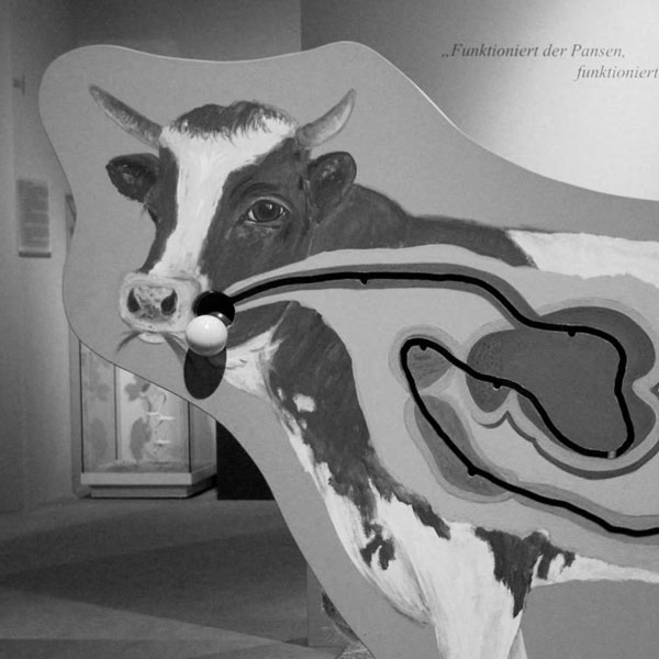 Lernspiel interaktive Kuh im LWL Museum für Naturkunde Münster